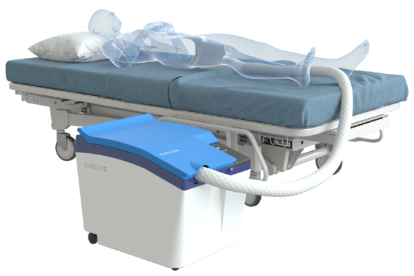 착용그래픽_MNK 제작.png